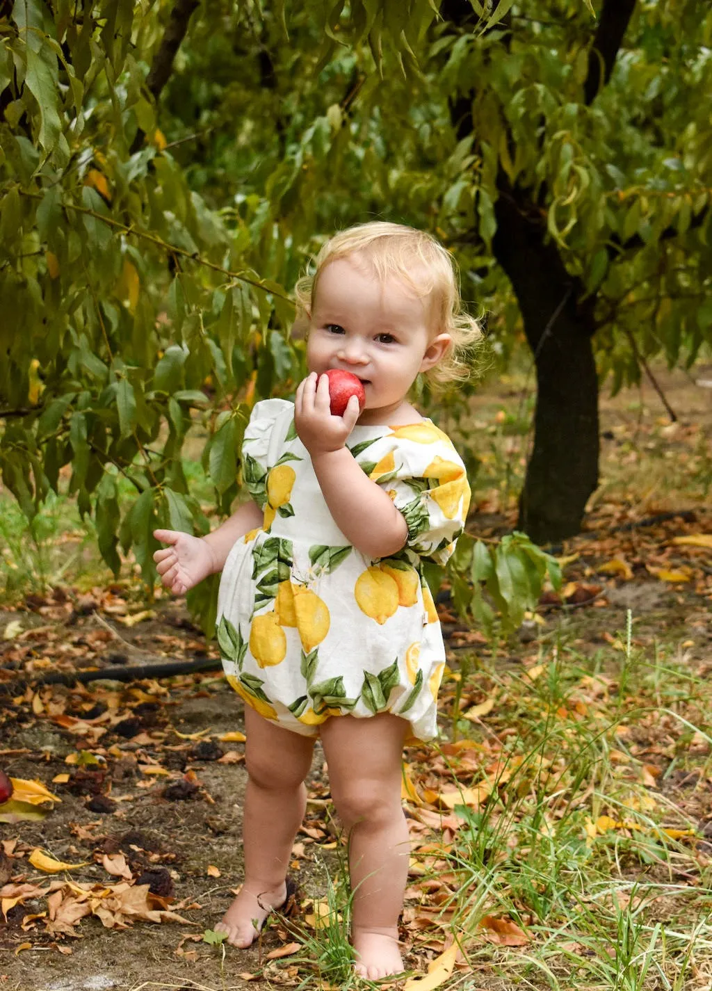 Alex & Ant Fleur Playsuit - Lemons