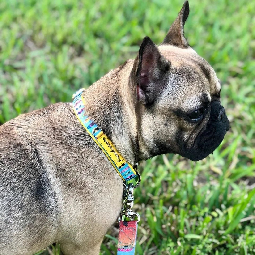 Frenchiestore Breakaway Dog Collar | California Dreamin'