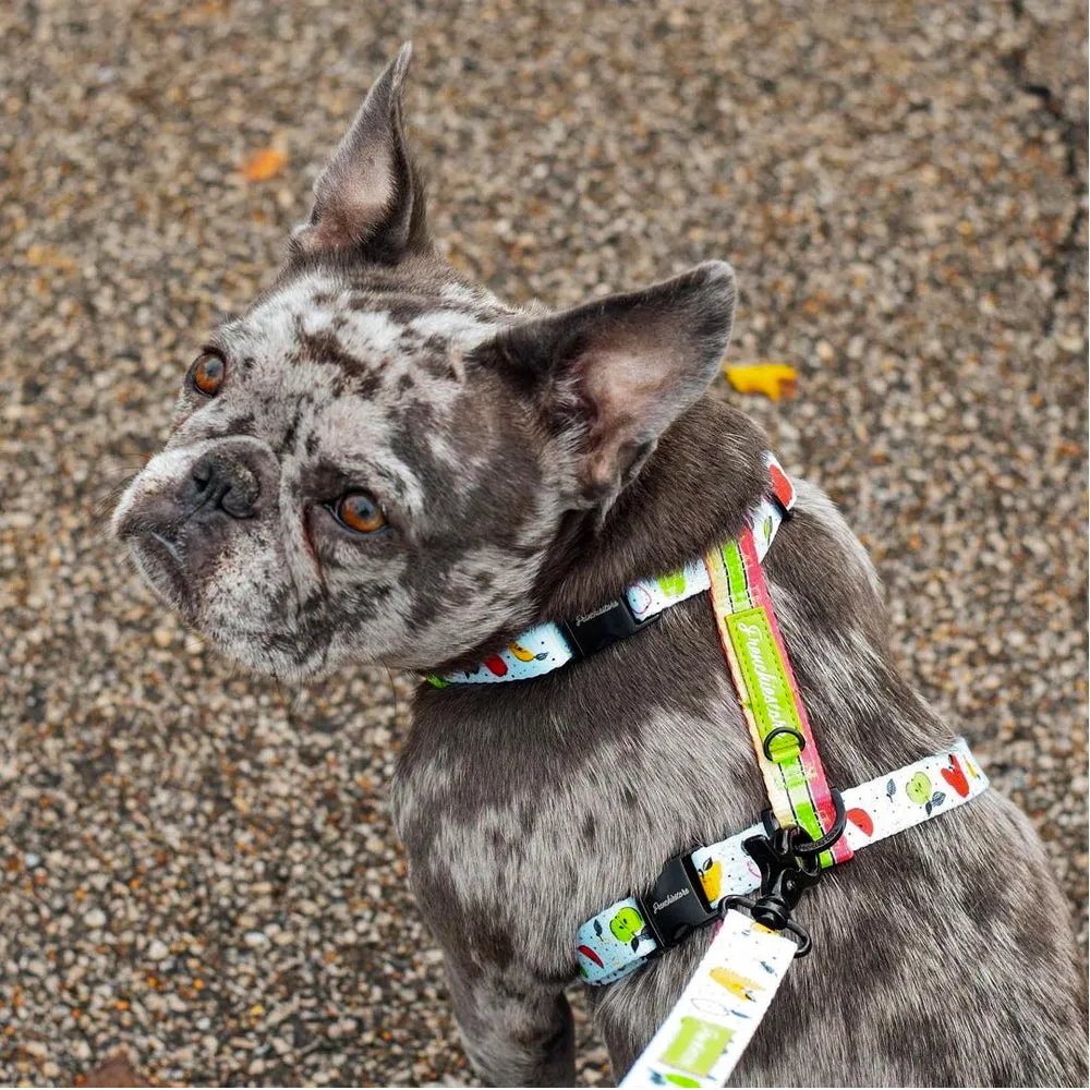 Frenchiestore Strap Dog Harness | Apple