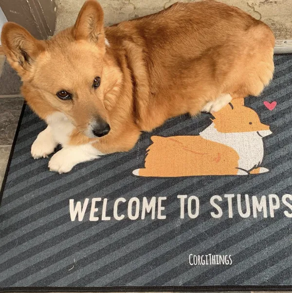 "Welcome to Stumpsville" Corgi Floor Mat