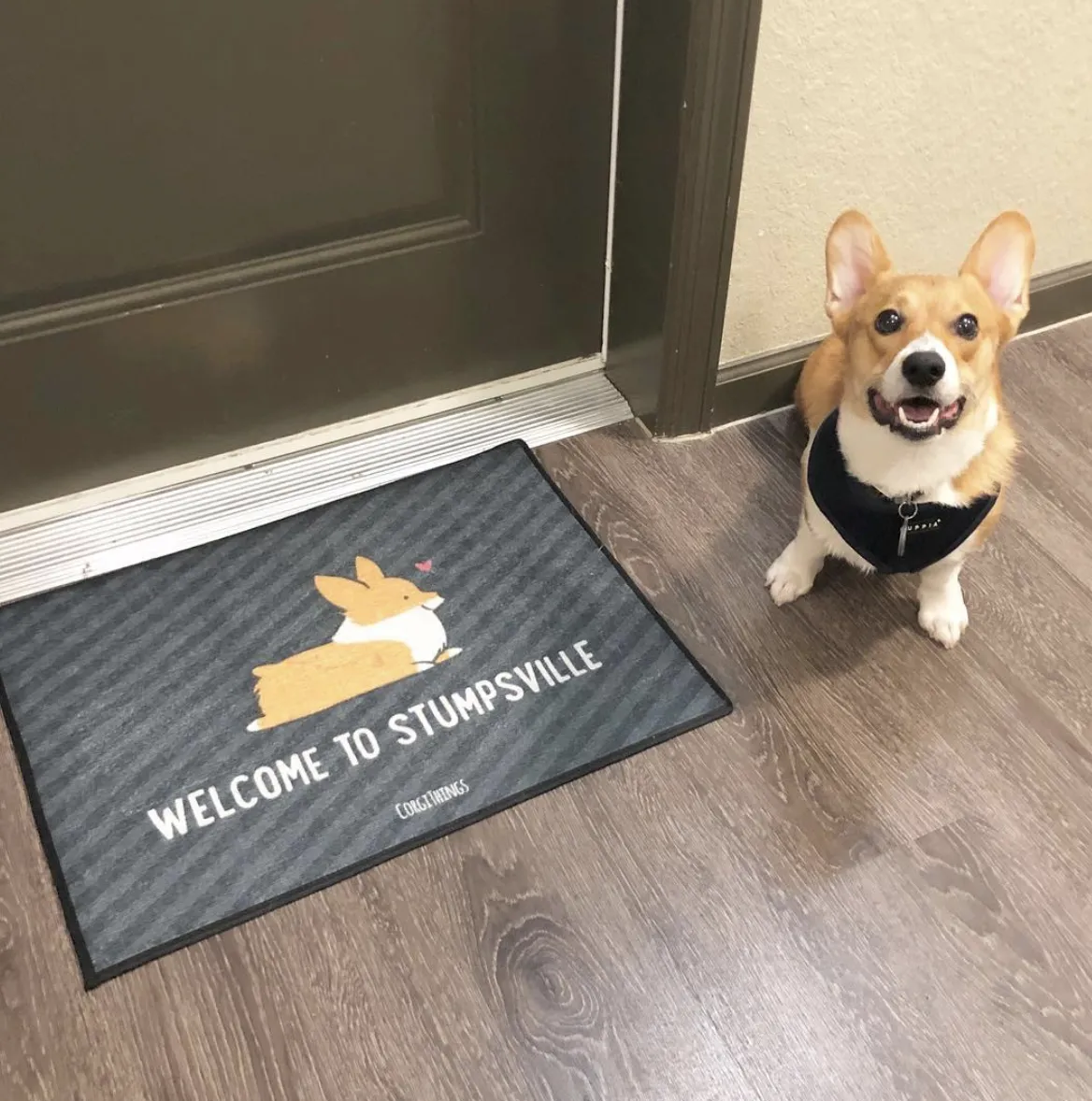 "Welcome to Stumpsville" Corgi Floor Mat