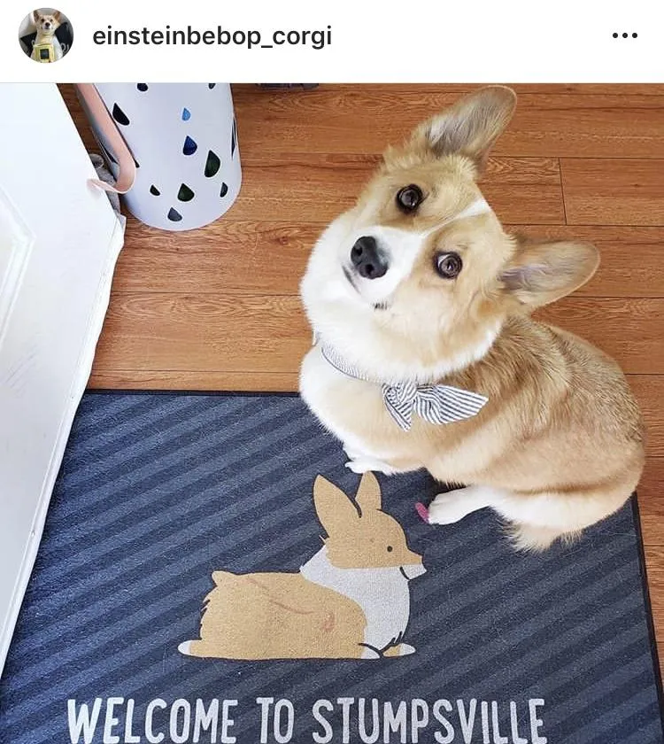 "Welcome to Stumpsville" Corgi Floor Mat