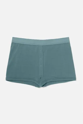 Richer Poorer Boxer Briefs / Blue Spruce