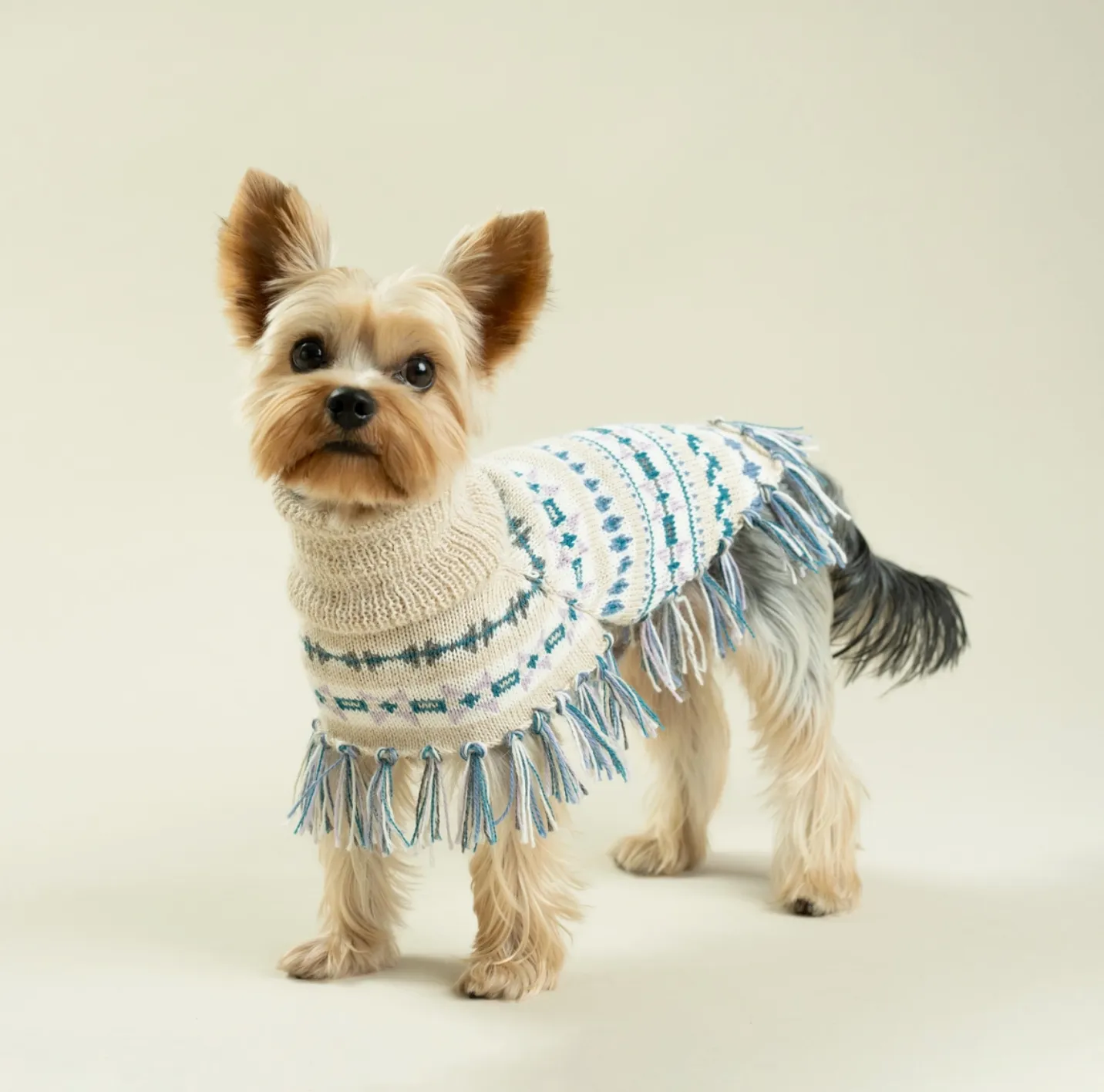 Serendipity Dog Poncho