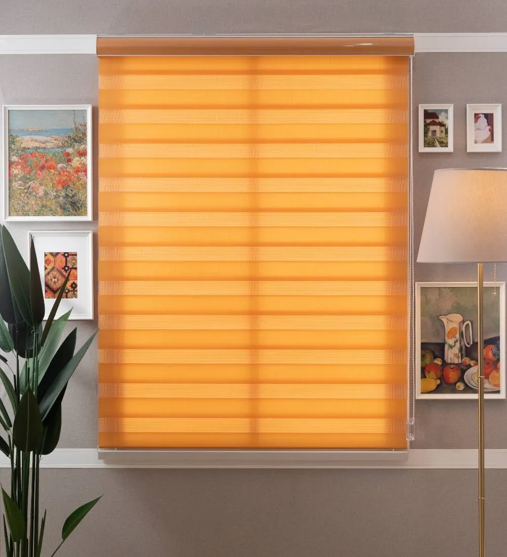 Tisa Signature Light Filtering Zebra Blinds