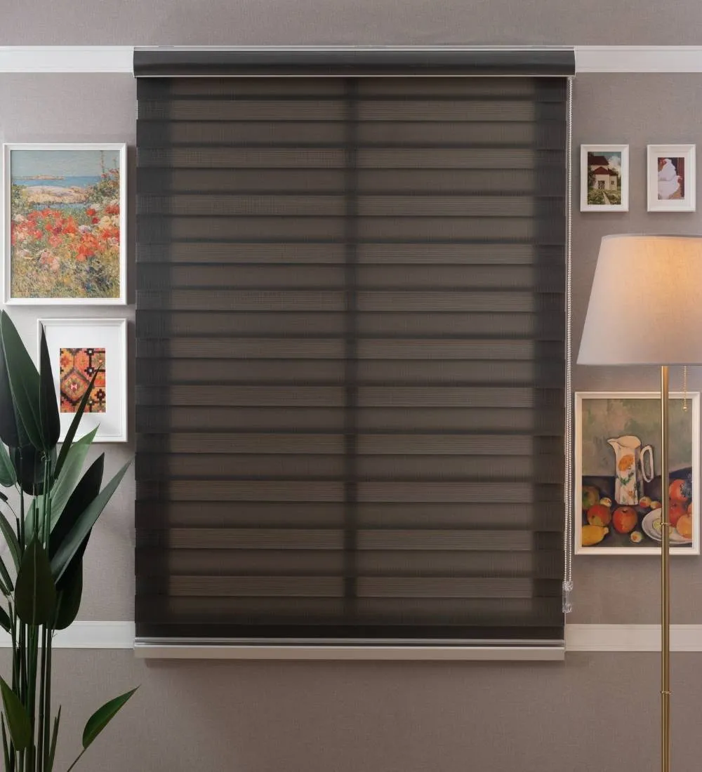 Tisa Signature Light Filtering Zebra Blinds