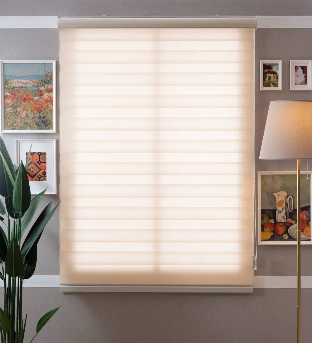 Tisa Signature Light Filtering Zebra Blinds