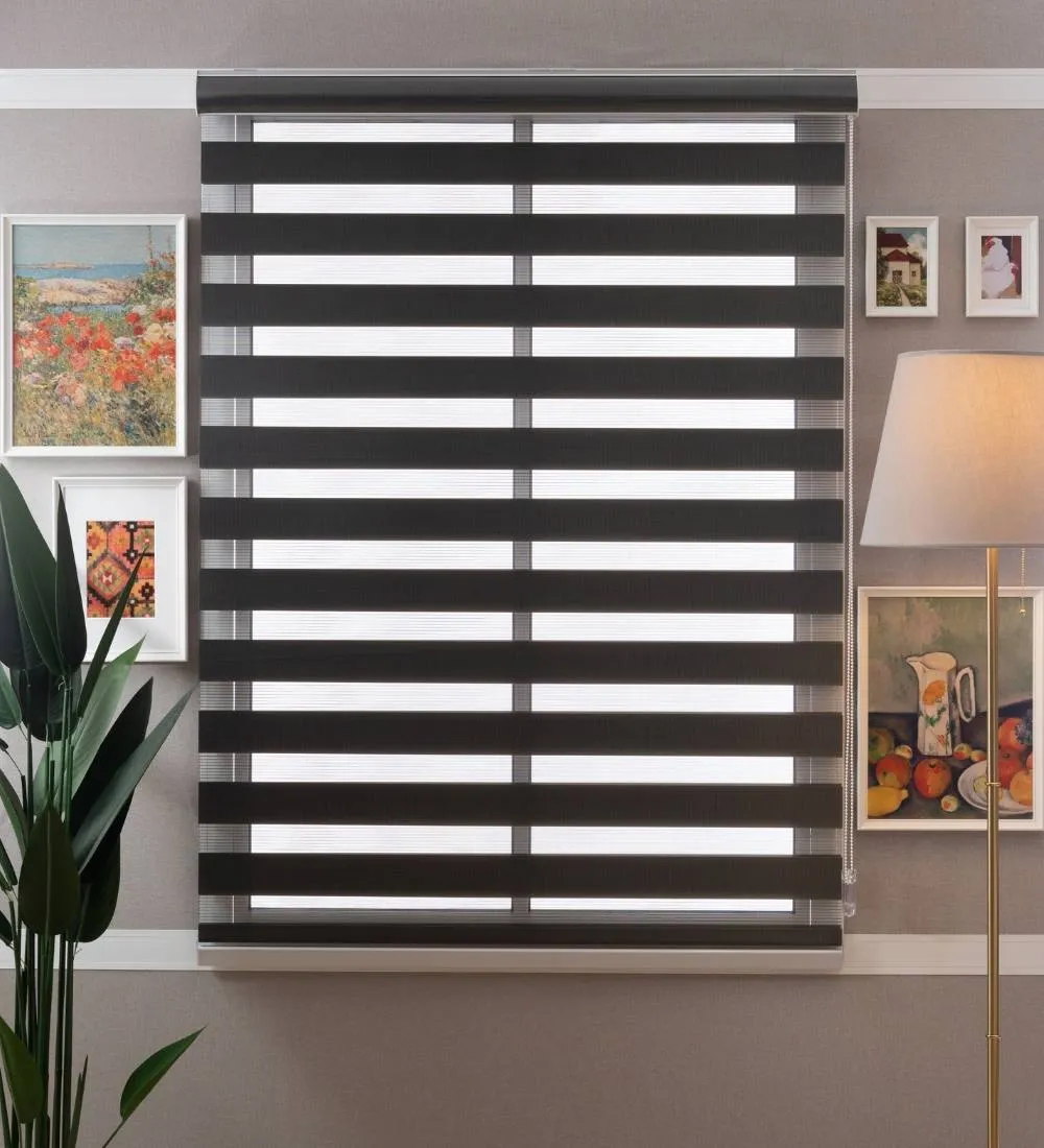 Tisa Signature Light Filtering Zebra Blinds