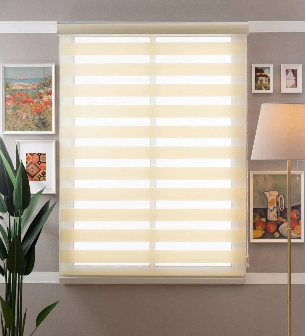 Tisa Signature Light Filtering Zebra Blinds