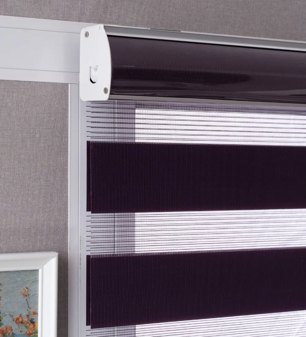 Tisa Signature Light Filtering Zebra Blinds