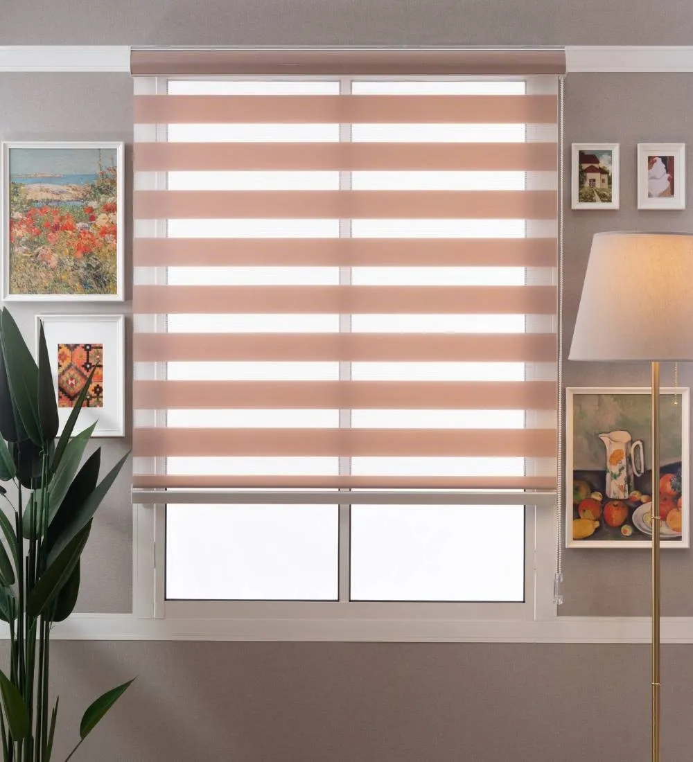 Tisa Signature Light Filtering Zebra Blinds