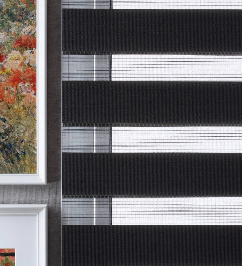 Tisa Signature Light Filtering Zebra Blinds