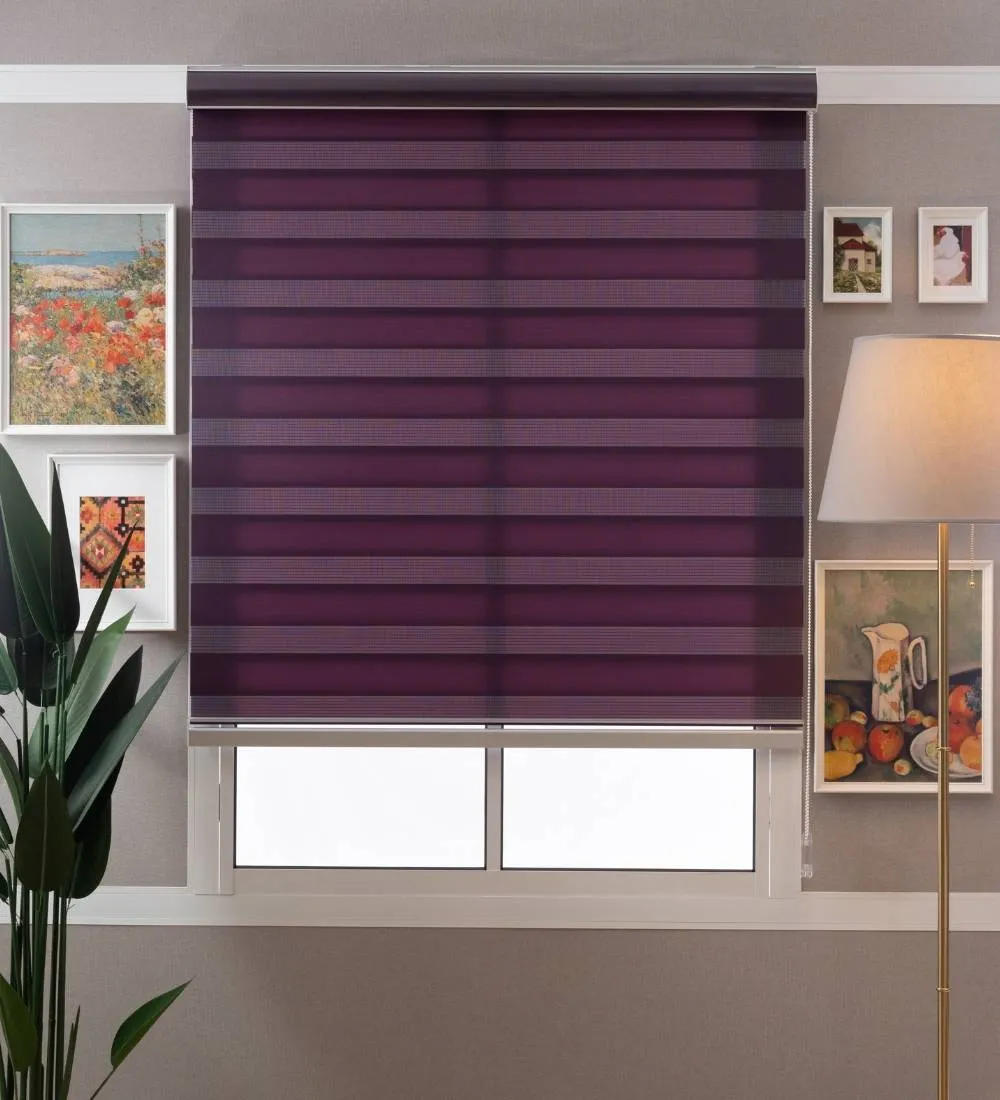 Tisa Signature Light Filtering Zebra Blinds