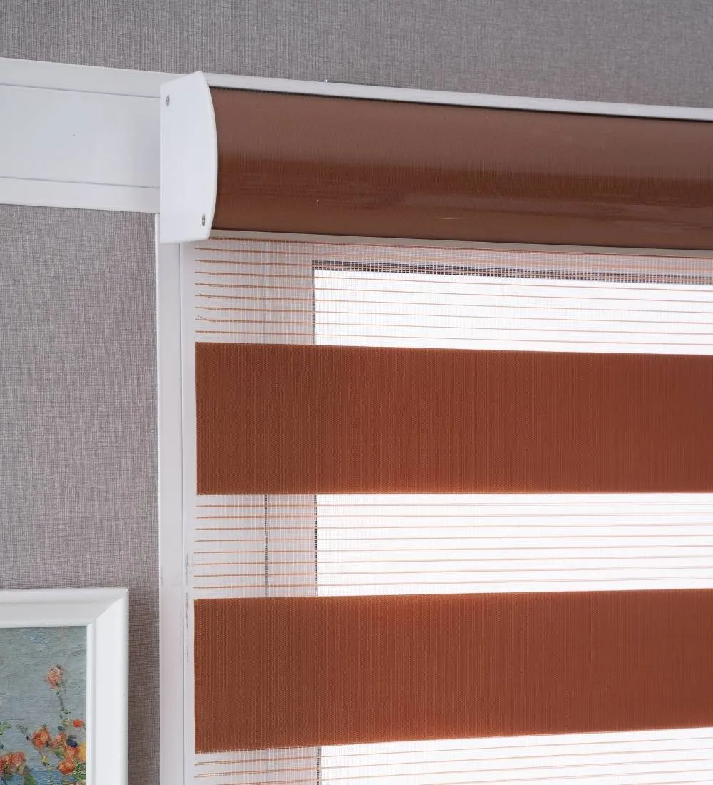 Tisa Signature Light Filtering Zebra Blinds