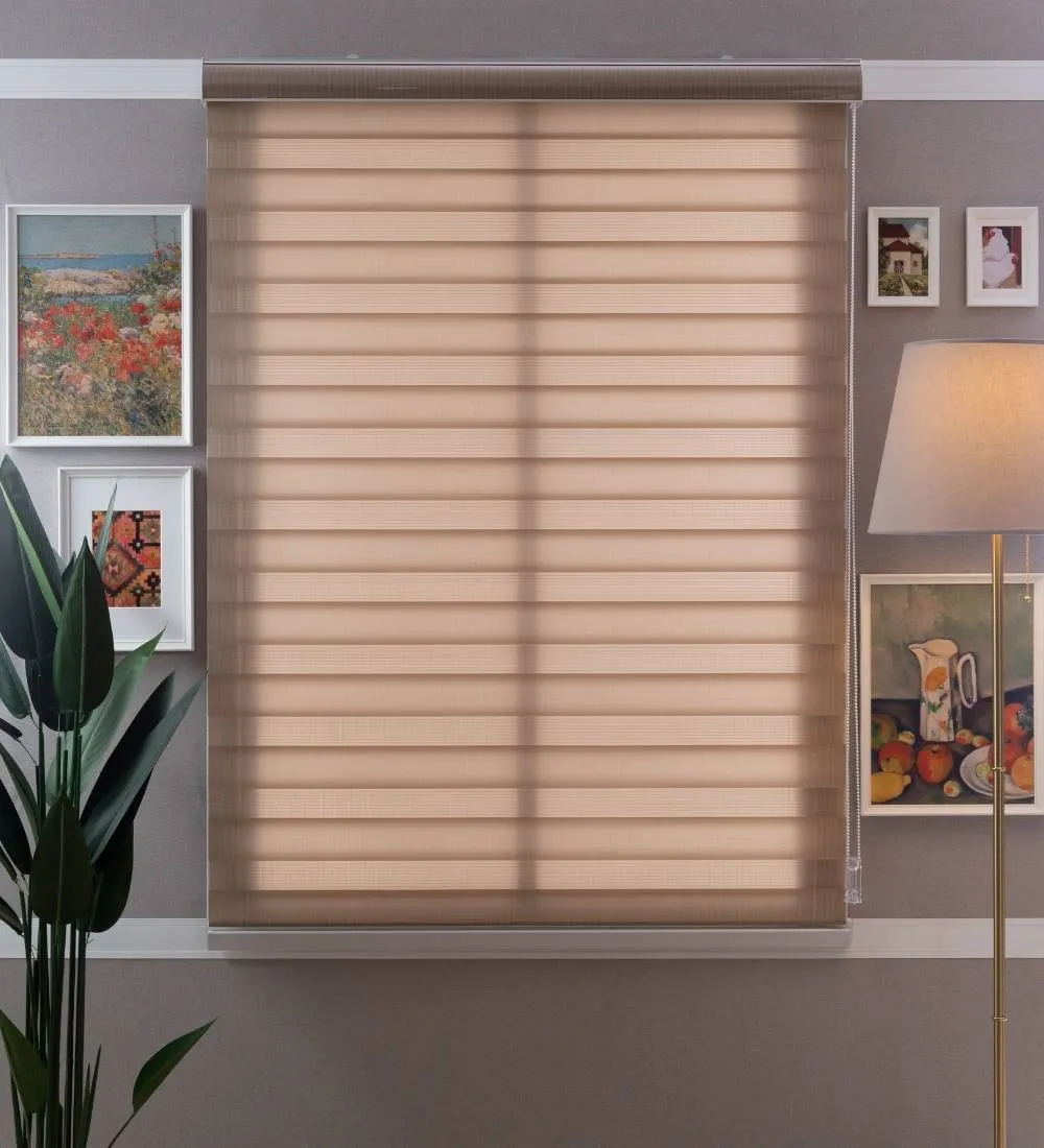 Tisa Signature Light Filtering Zebra Blinds