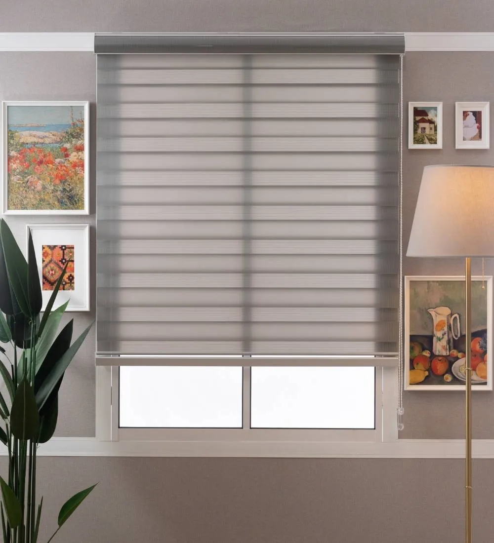 Tisa Signature Light Filtering Zebra Blinds