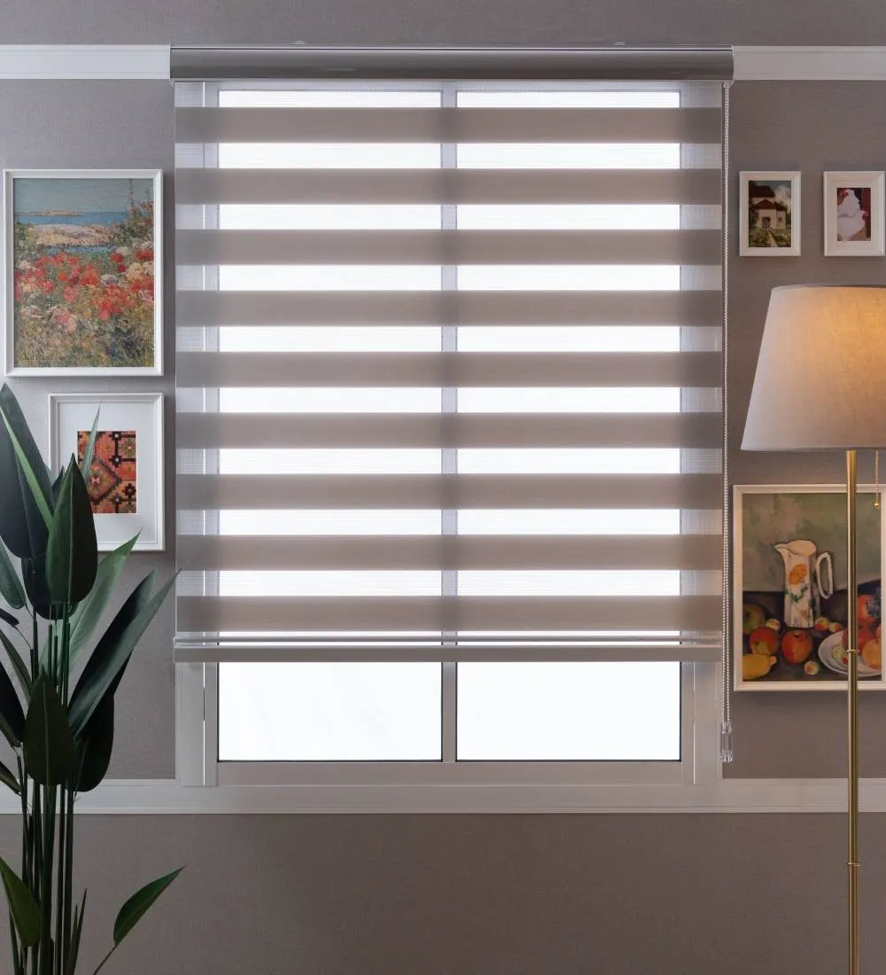 Tisa Signature Light Filtering Zebra Blinds