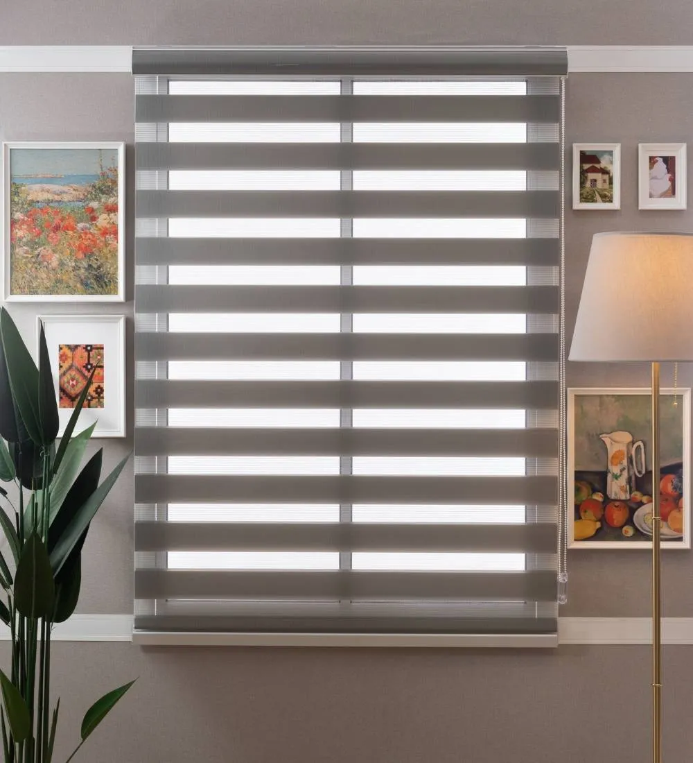 Tisa Signature Light Filtering Zebra Blinds