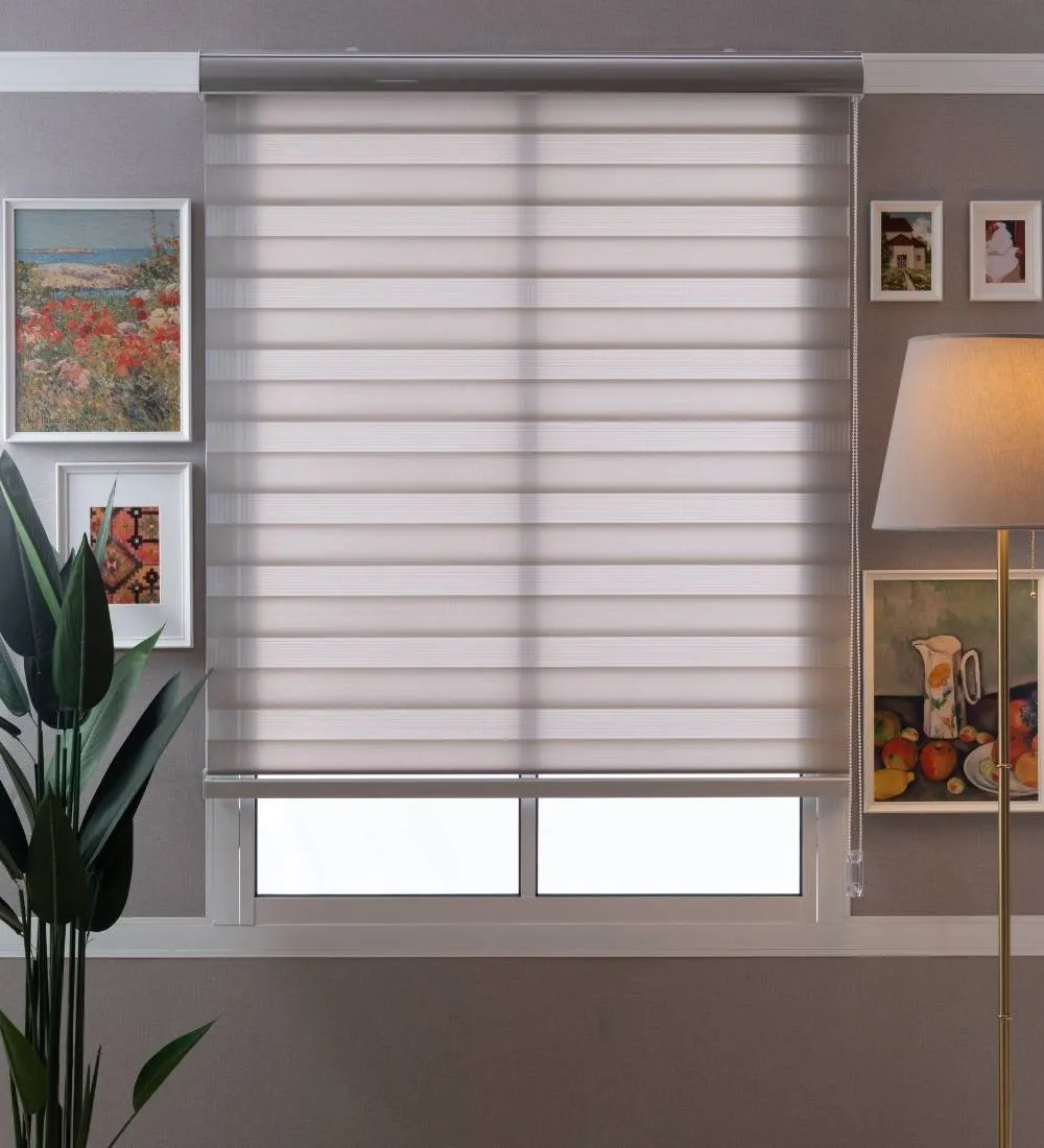 Tisa Signature Light Filtering Zebra Blinds