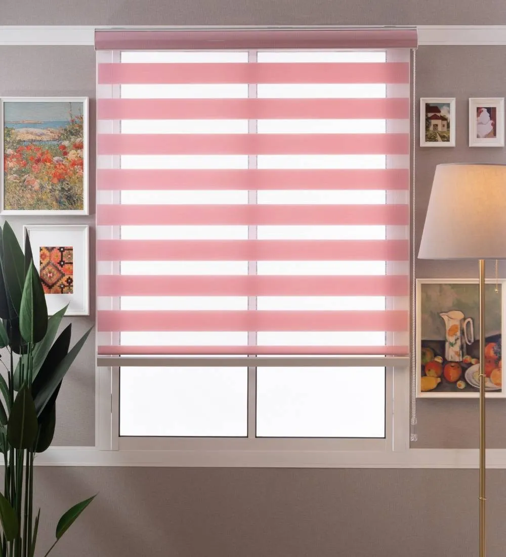 Tisa Signature Light Filtering Zebra Blinds