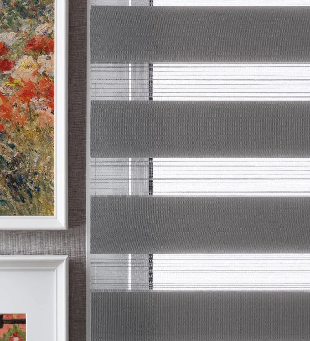 Tisa Signature Light Filtering Zebra Blinds