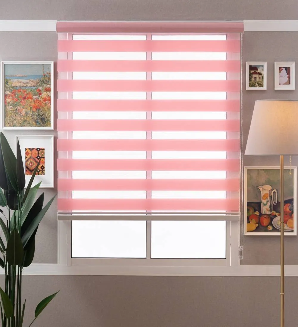 Tisa Signature Light Filtering Zebra Blinds