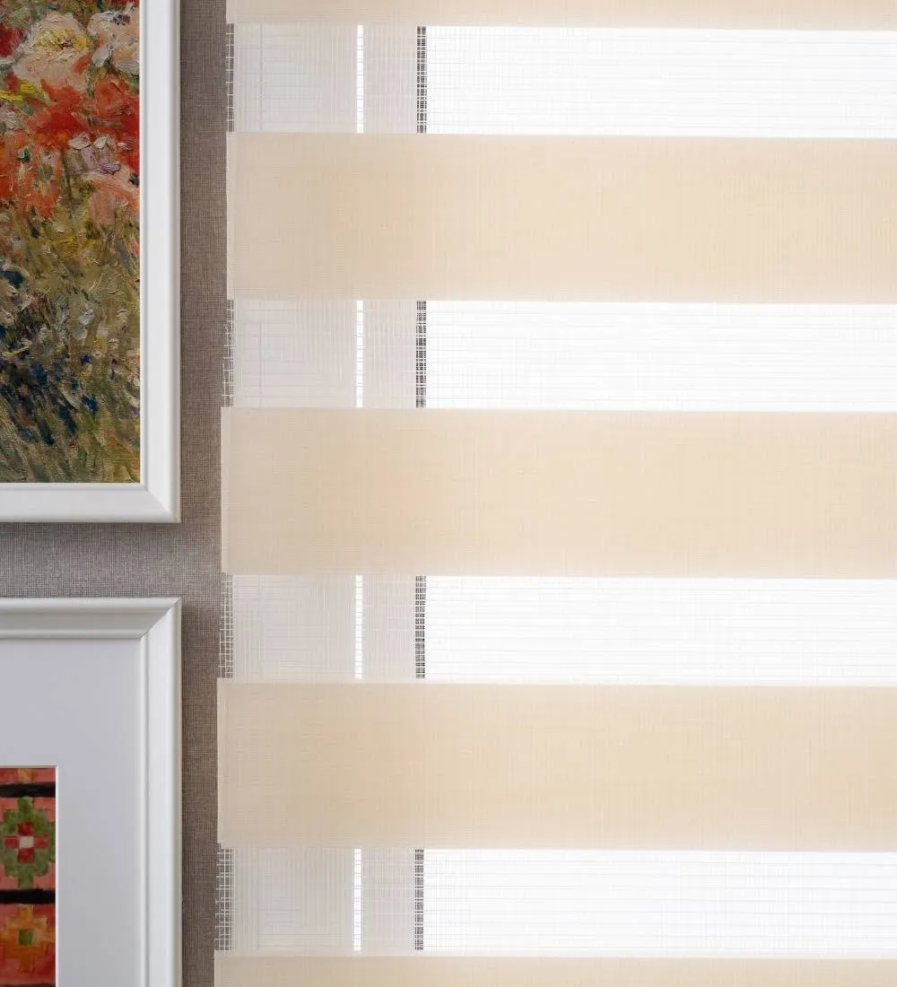 Tisa Signature Light Filtering Zebra Blinds