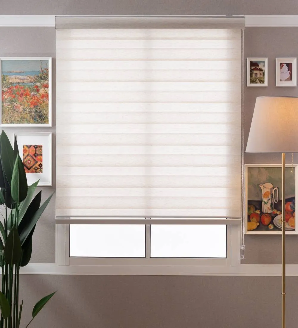 Tisa Signature Light Filtering Zebra Blinds