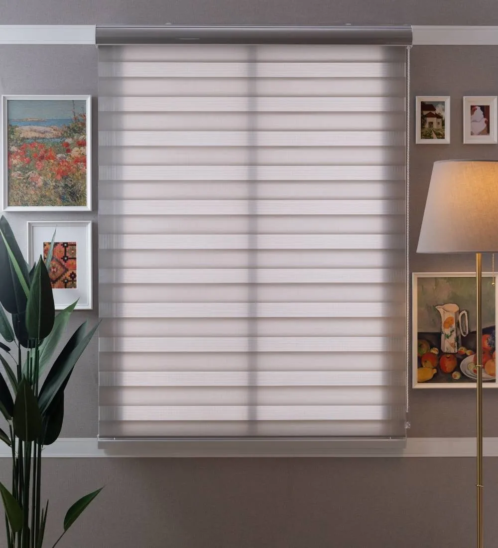 Tisa Signature Light Filtering Zebra Blinds