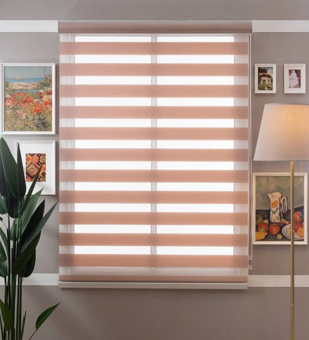 Tisa Signature Light Filtering Zebra Blinds