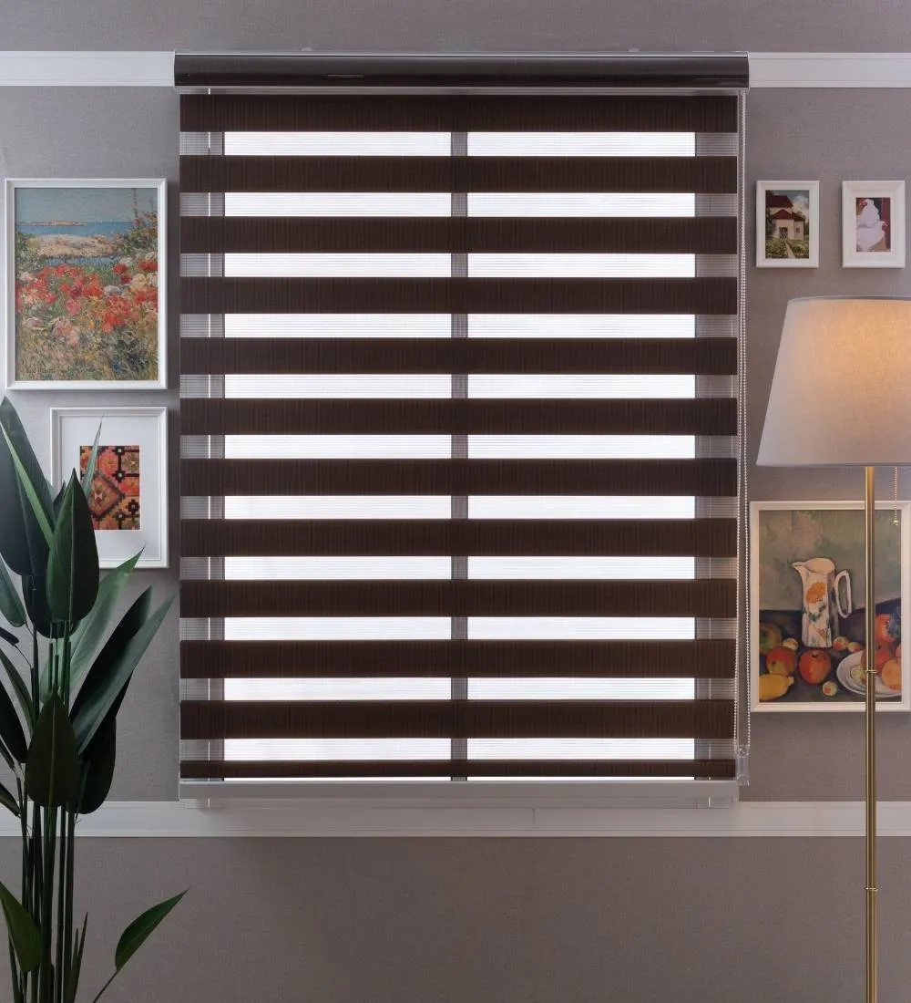 Tisa Signature Light Filtering Zebra Blinds