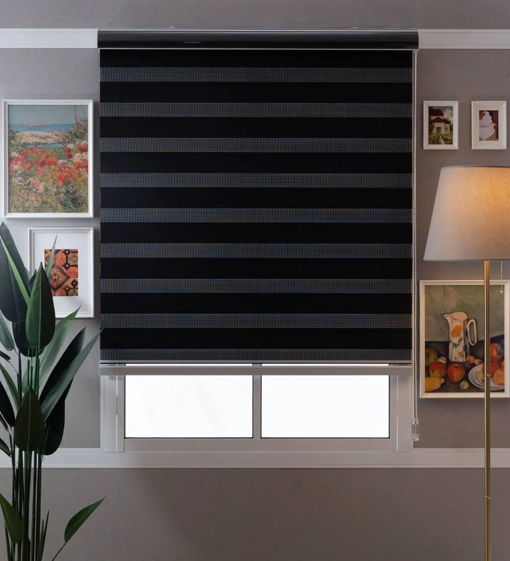 Tisa Signature Light Filtering Zebra Blinds