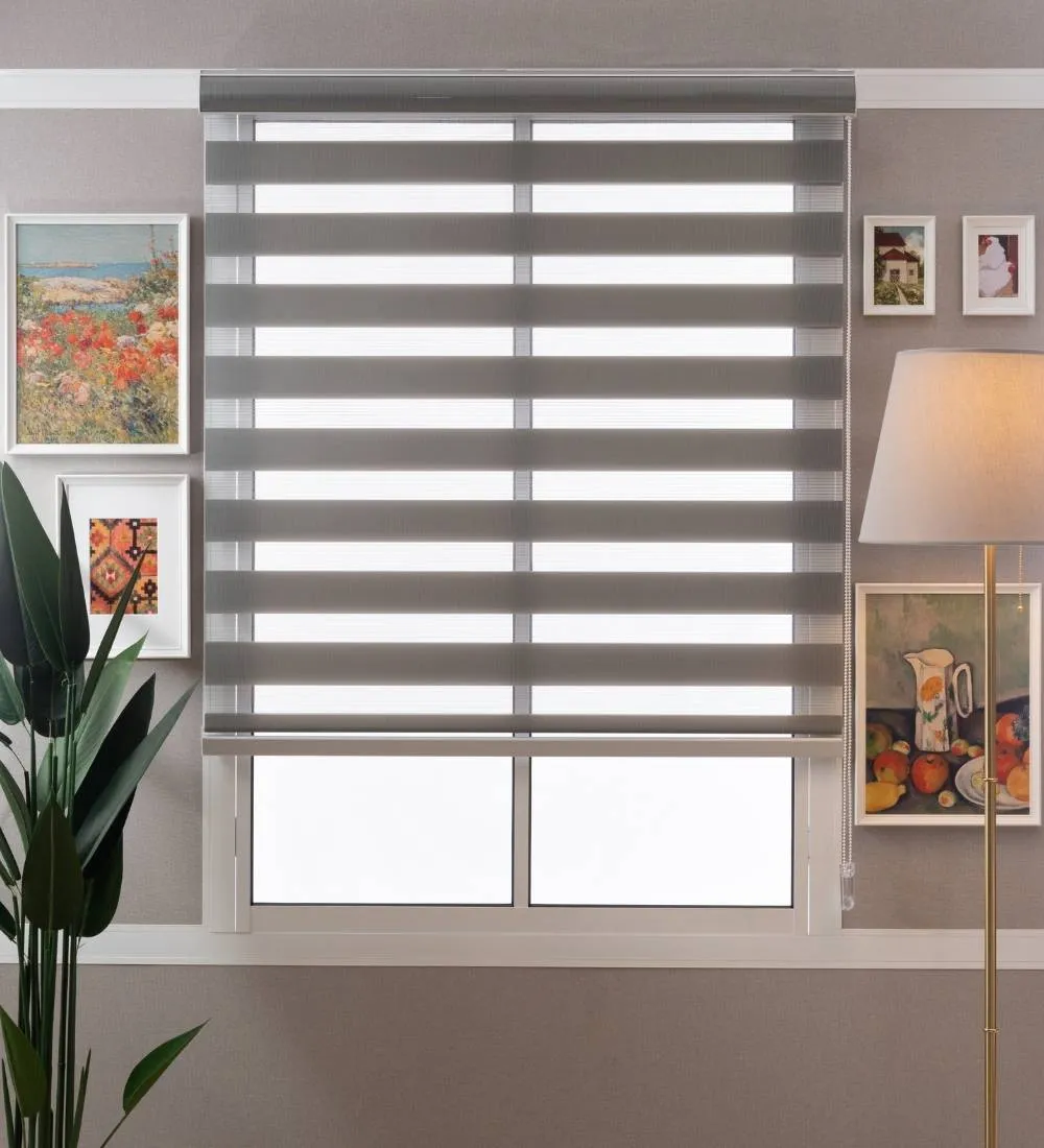 Tisa Signature Light Filtering Zebra Blinds