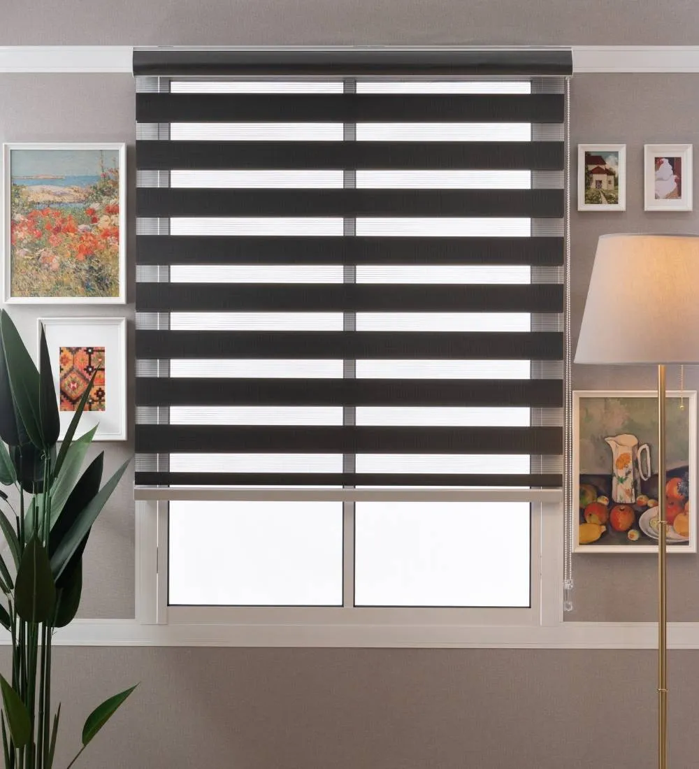 Tisa Signature Light Filtering Zebra Blinds