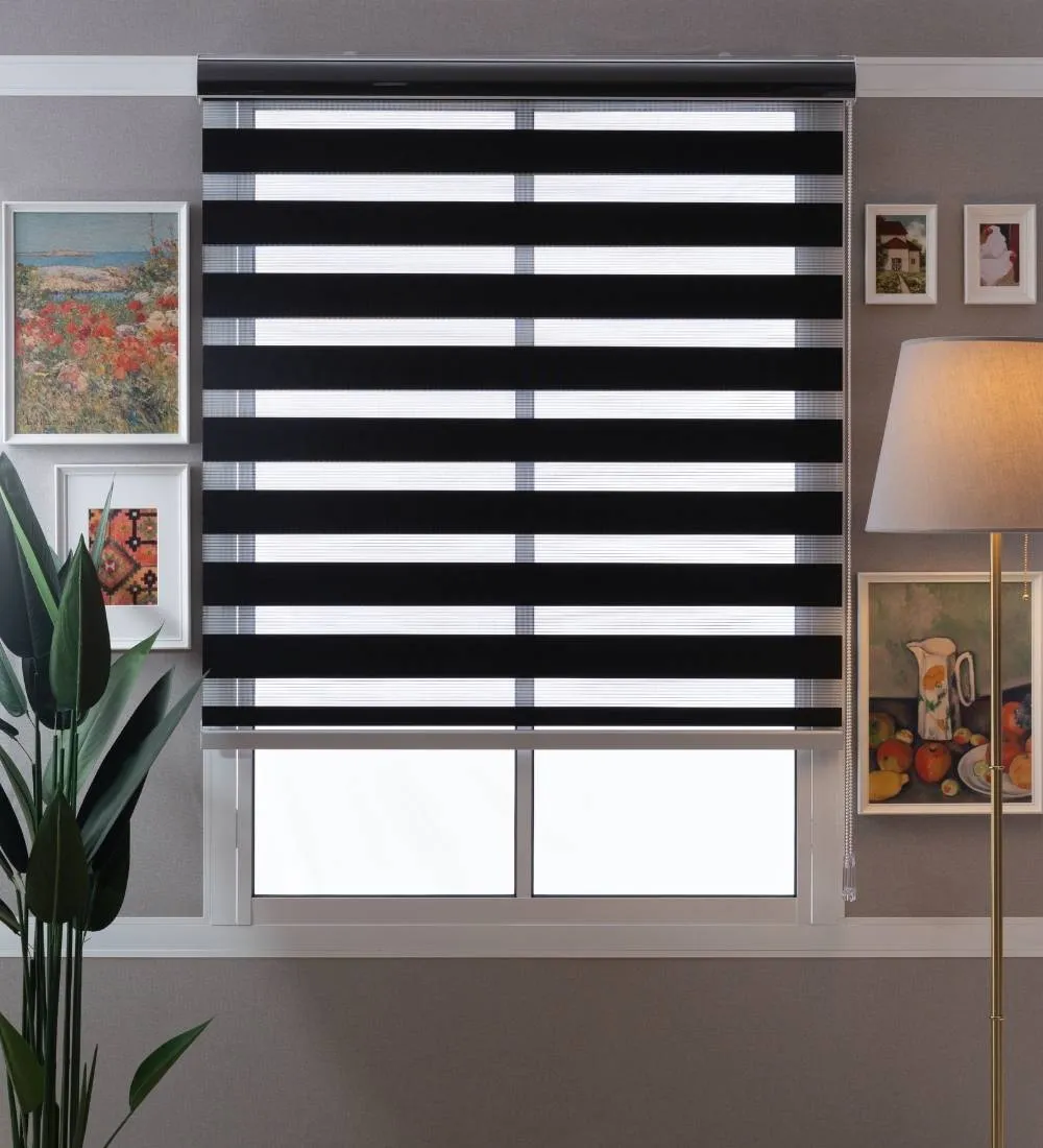 Tisa Signature Light Filtering Zebra Blinds