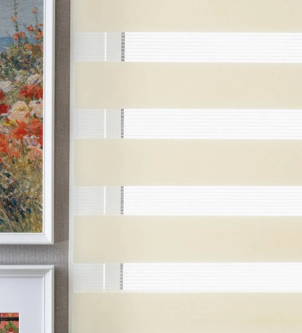 Tisa Signature Light Filtering Zebra Blinds