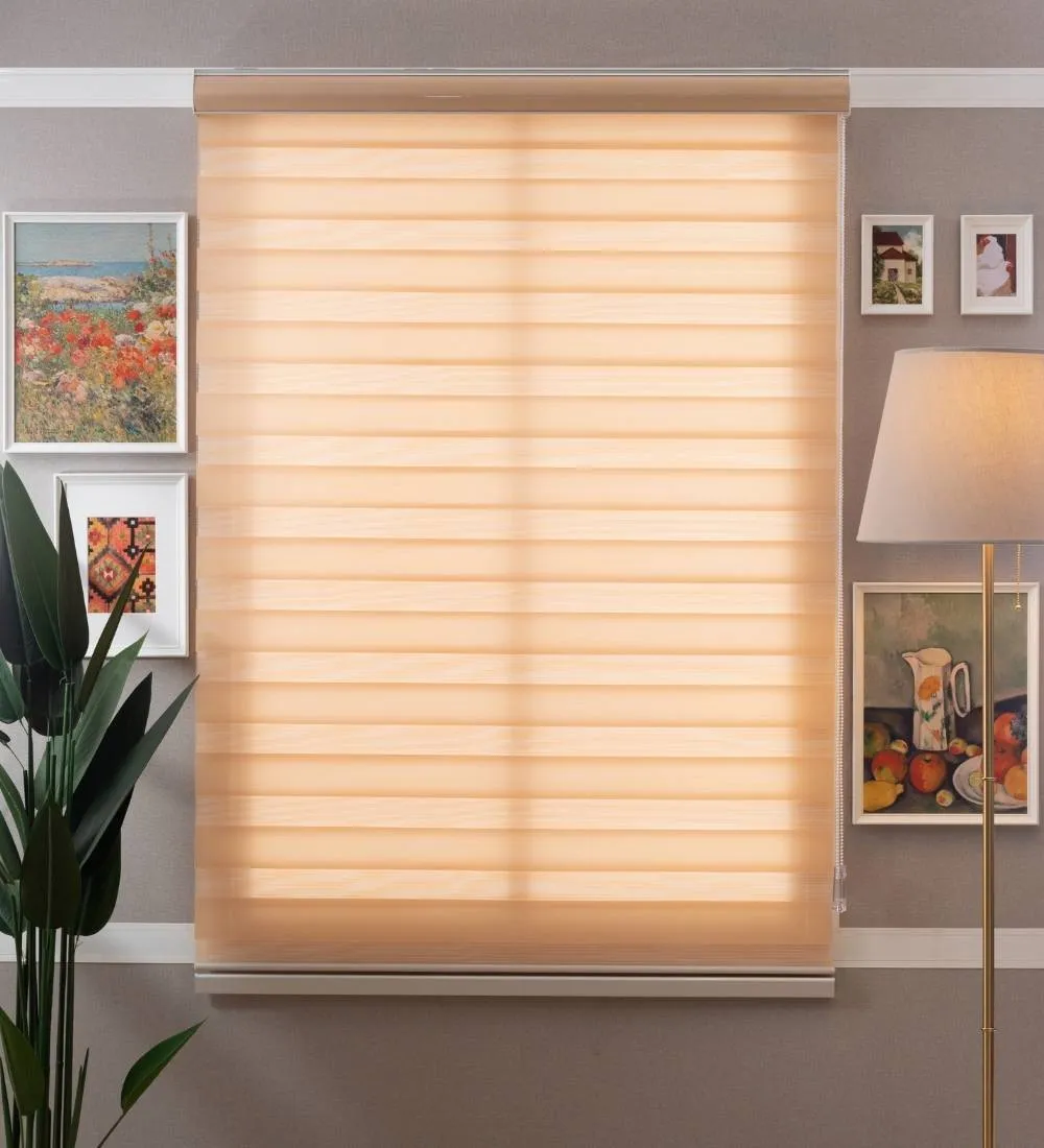 Tisa Signature Light Filtering Zebra Blinds