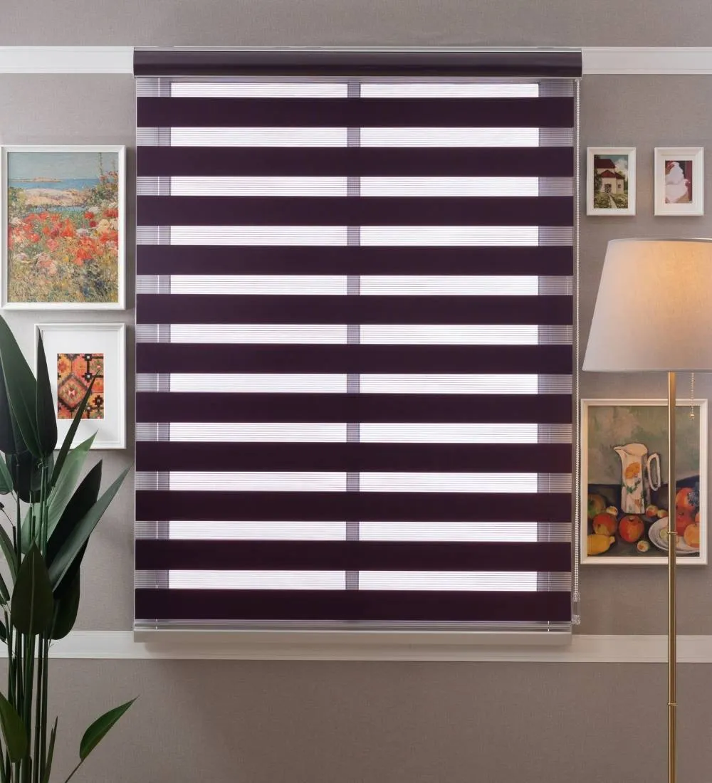 Tisa Signature Light Filtering Zebra Blinds