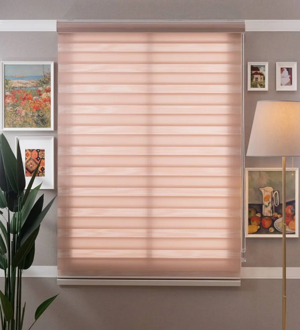 Tisa Signature Light Filtering Zebra Blinds