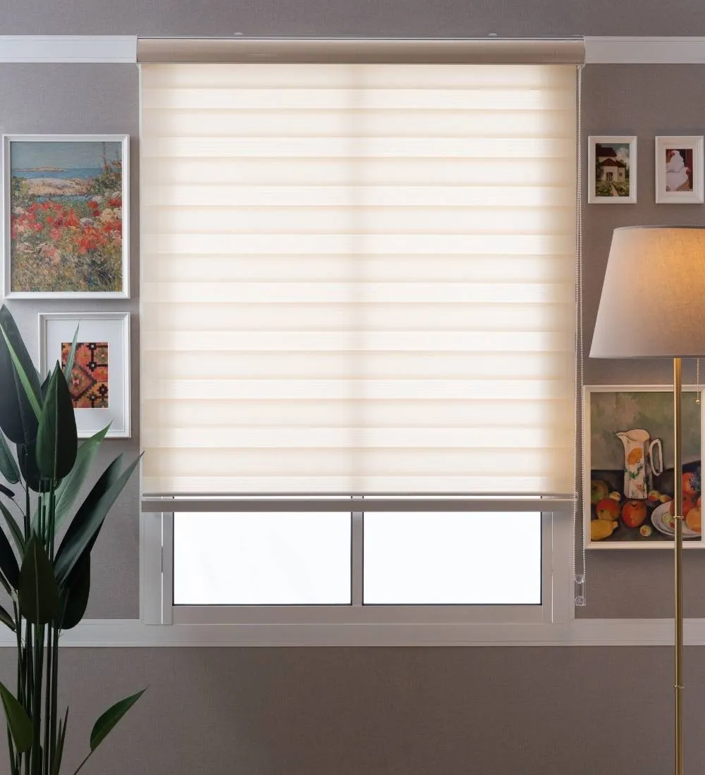 Tisa Signature Light Filtering Zebra Blinds