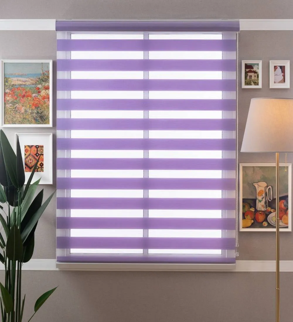 Tisa Signature Light Filtering Zebra Blinds