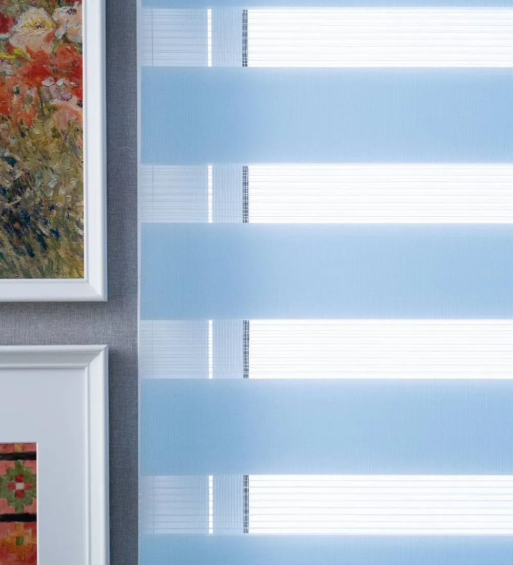 Tisa Signature Light Filtering Zebra Blinds