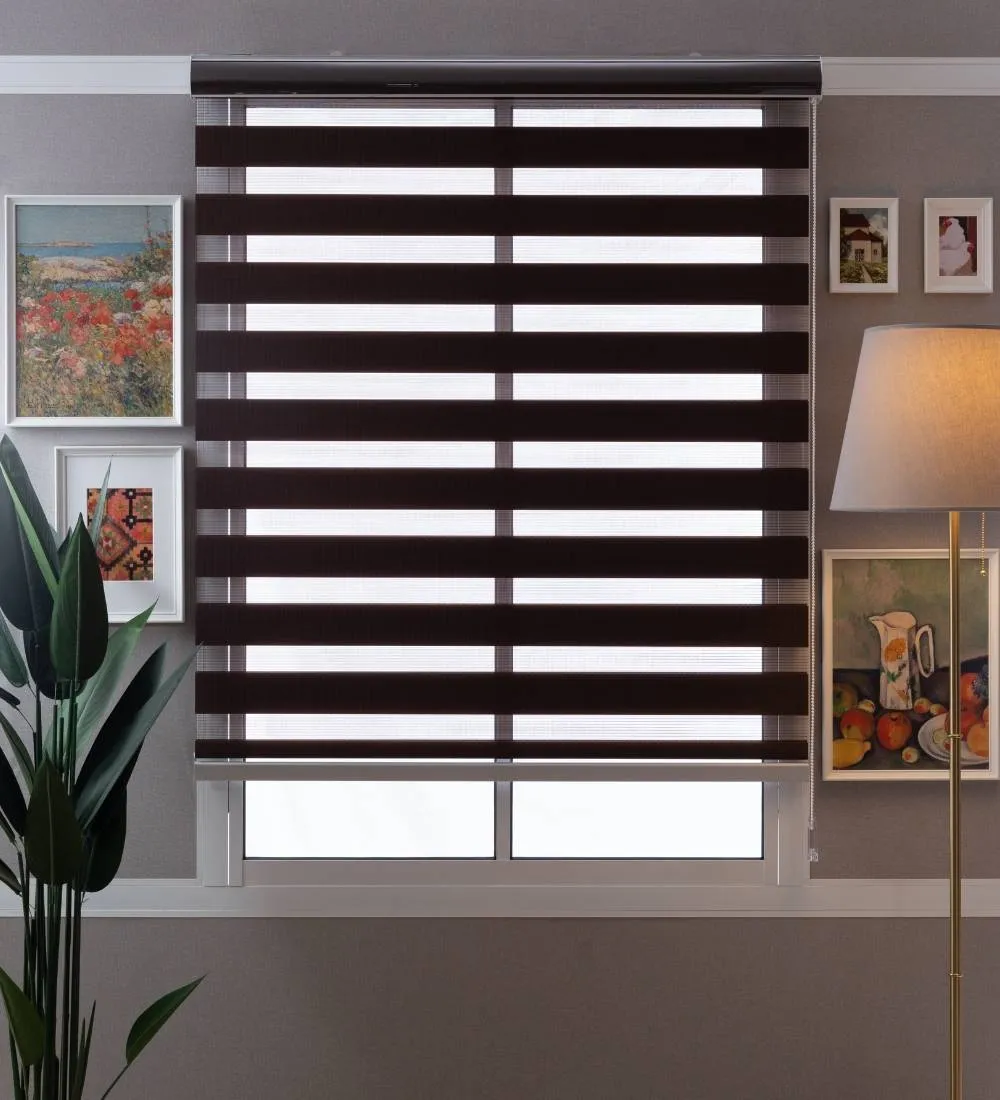 Tisa Signature Light Filtering Zebra Blinds