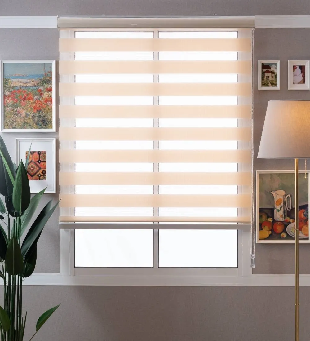 Tisa Signature Light Filtering Zebra Blinds