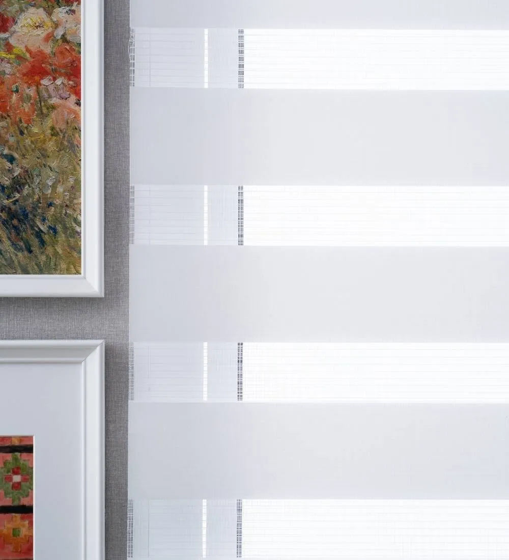 Tisa Signature Light Filtering Zebra Blinds