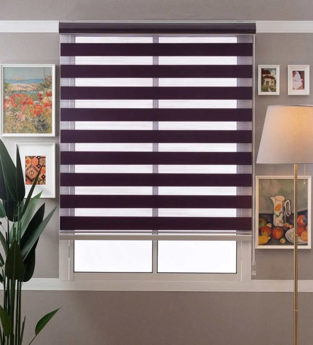 Tisa Signature Light Filtering Zebra Blinds