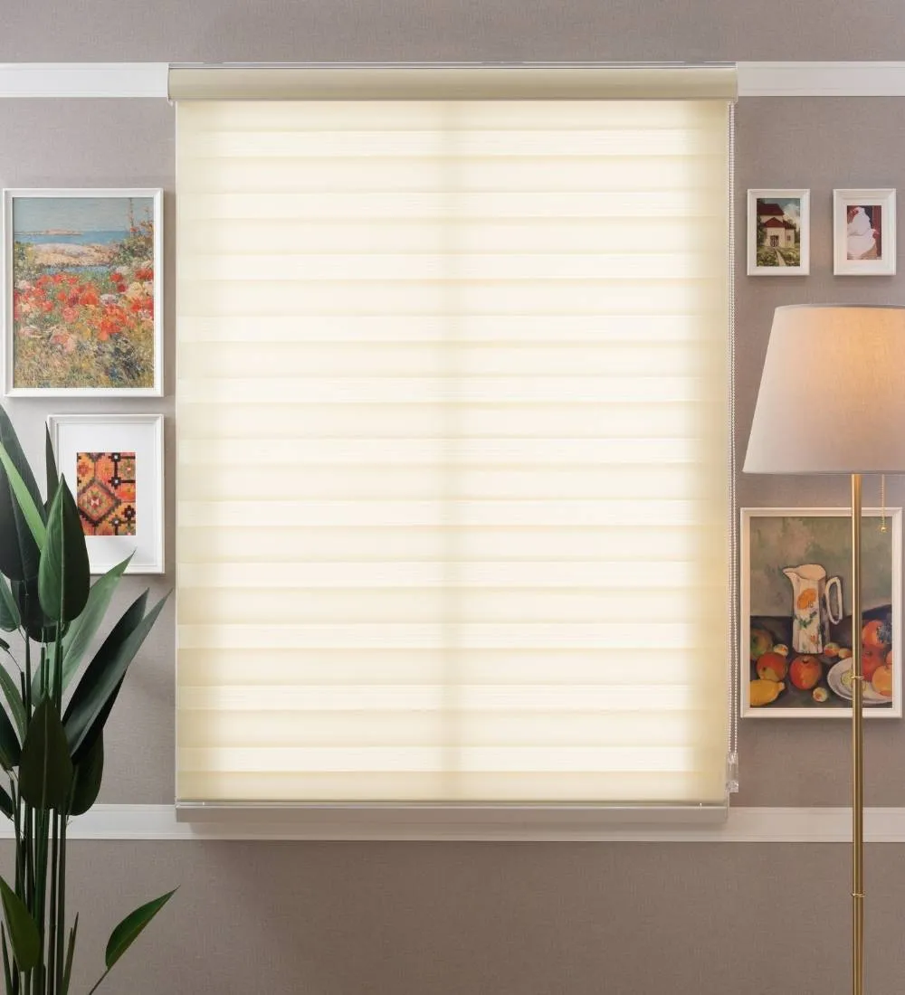 Tisa Signature Light Filtering Zebra Blinds