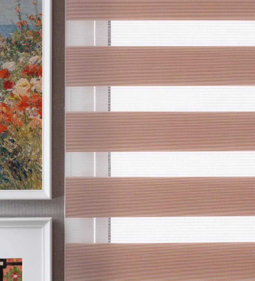 Tisa Signature Light Filtering Zebra Blinds