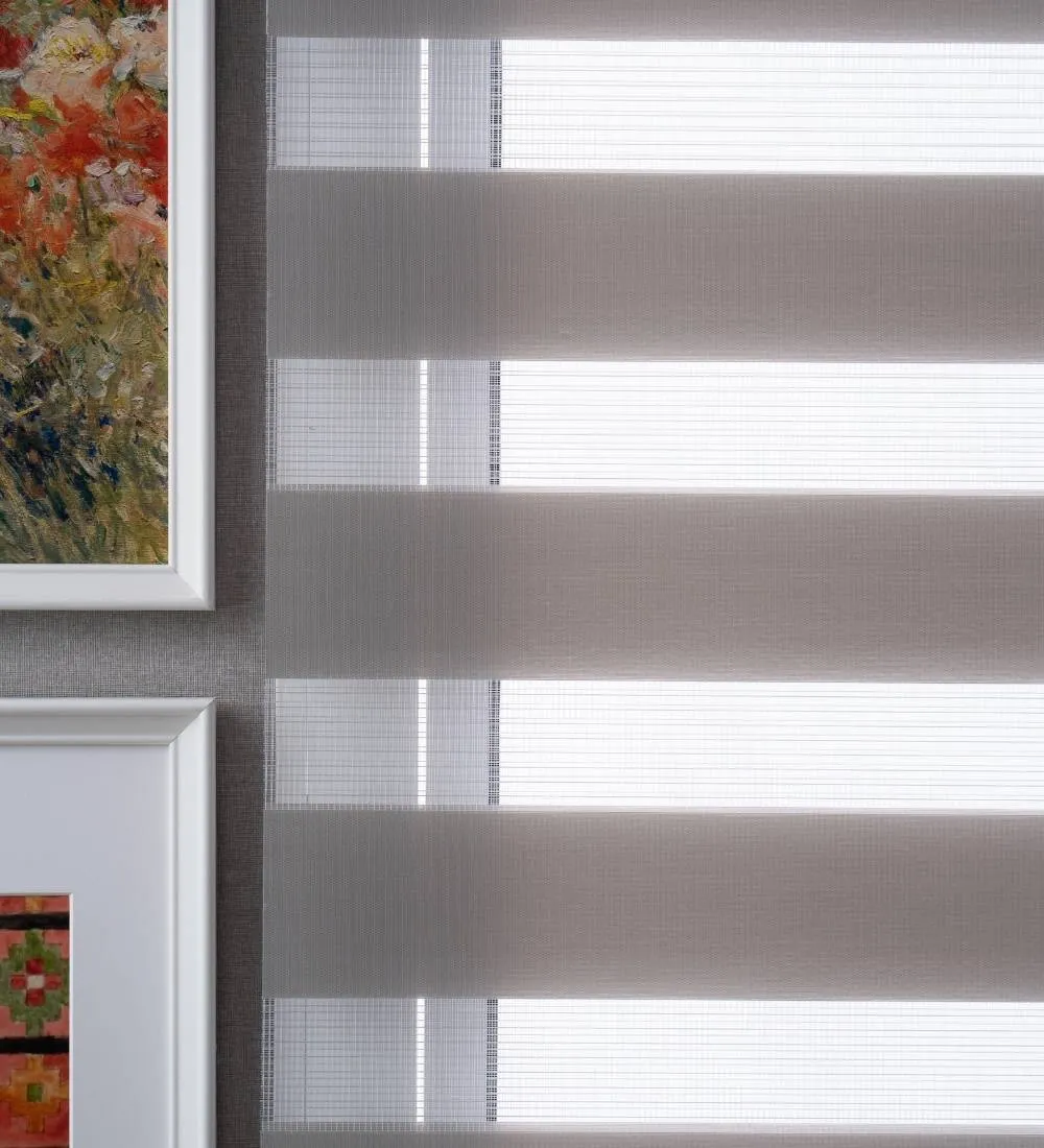 Tisa Signature Light Filtering Zebra Blinds