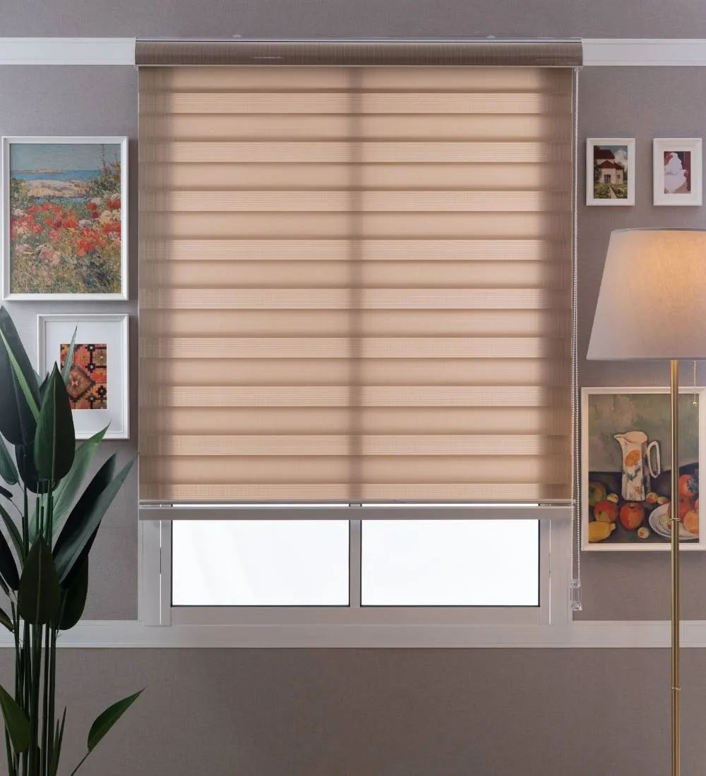 Tisa Signature Light Filtering Zebra Blinds